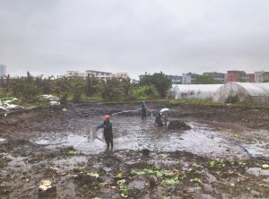 德州河道鱼塘清淤